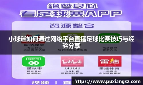 小球迷如何通过网络平台直播足球比赛技巧与经验分享